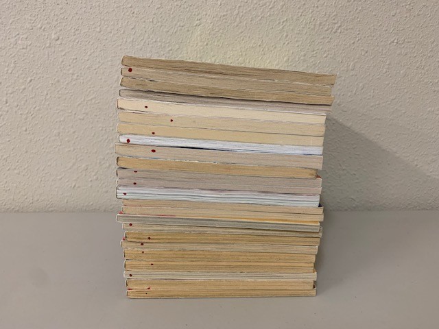 Lot of 24 2nd 3rd Grade Chapter Books – Junie B. Jones, Magic Tree House