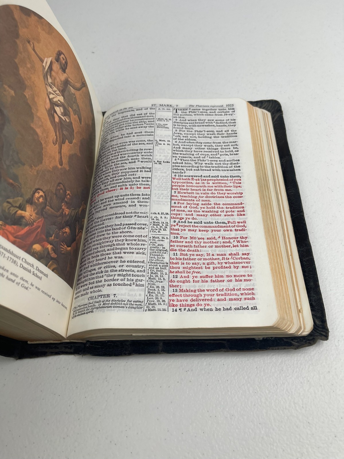 Holy Bible KJV Family Worship Edition Nashville Bible House Illustrated Vtg 1962