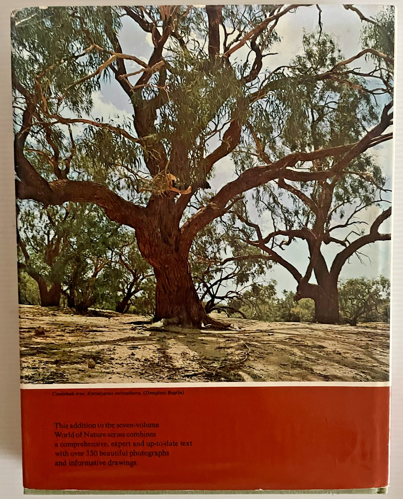 Living Trees of the World by T.H. Everett 315 Pages Doubleday 1973