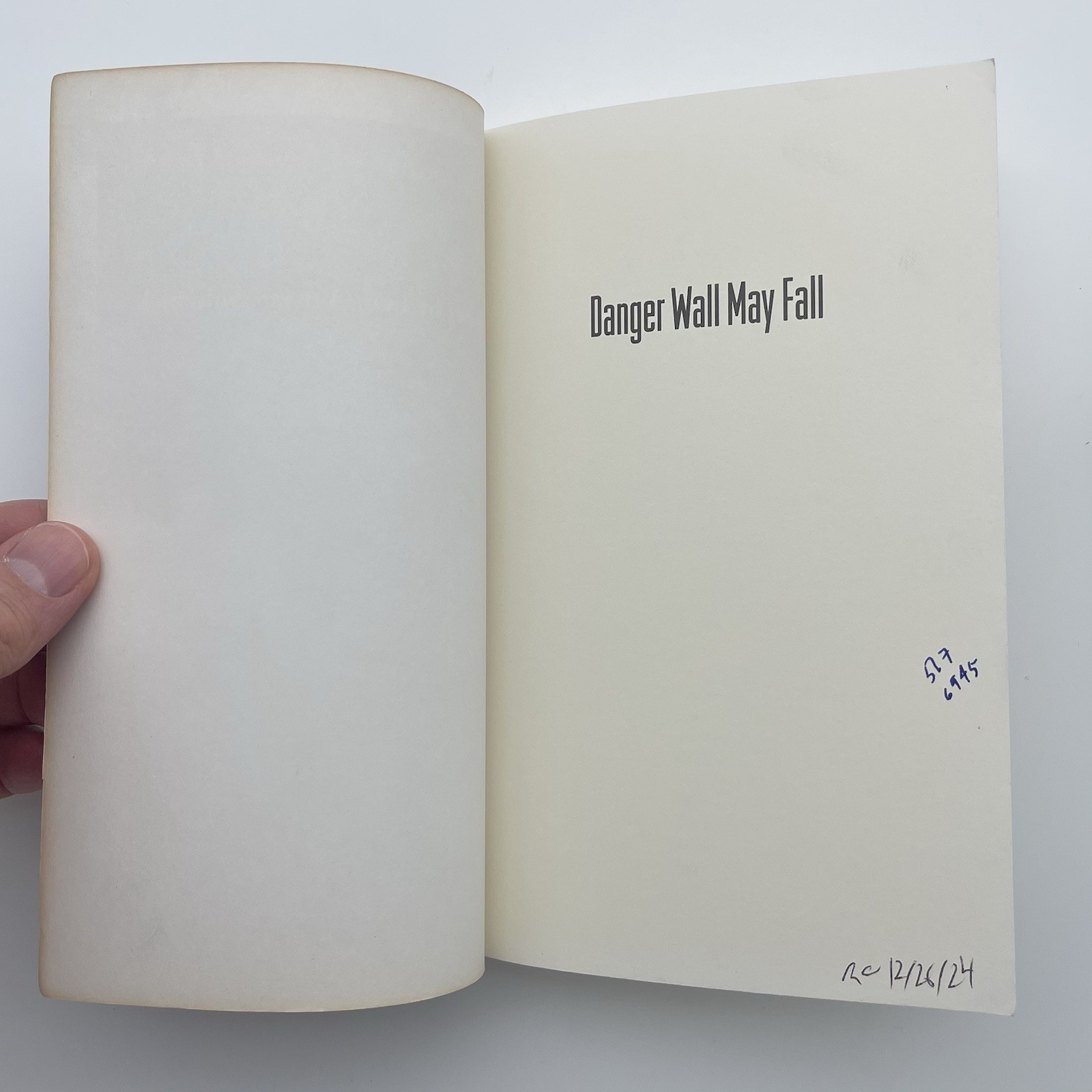 Danger Wall May Fall — Lynn Luria-Sukenick | Literary Short Stories