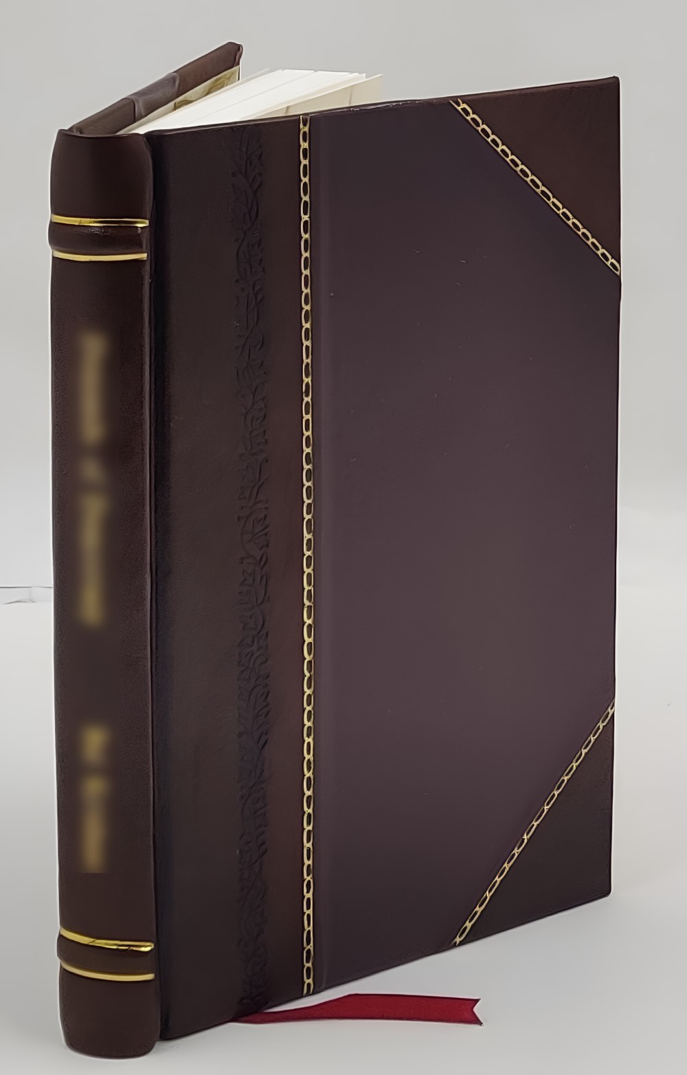 54th Pioneer Infantry with the Army of Occupation, Thi 1919 [Crafted Leather]