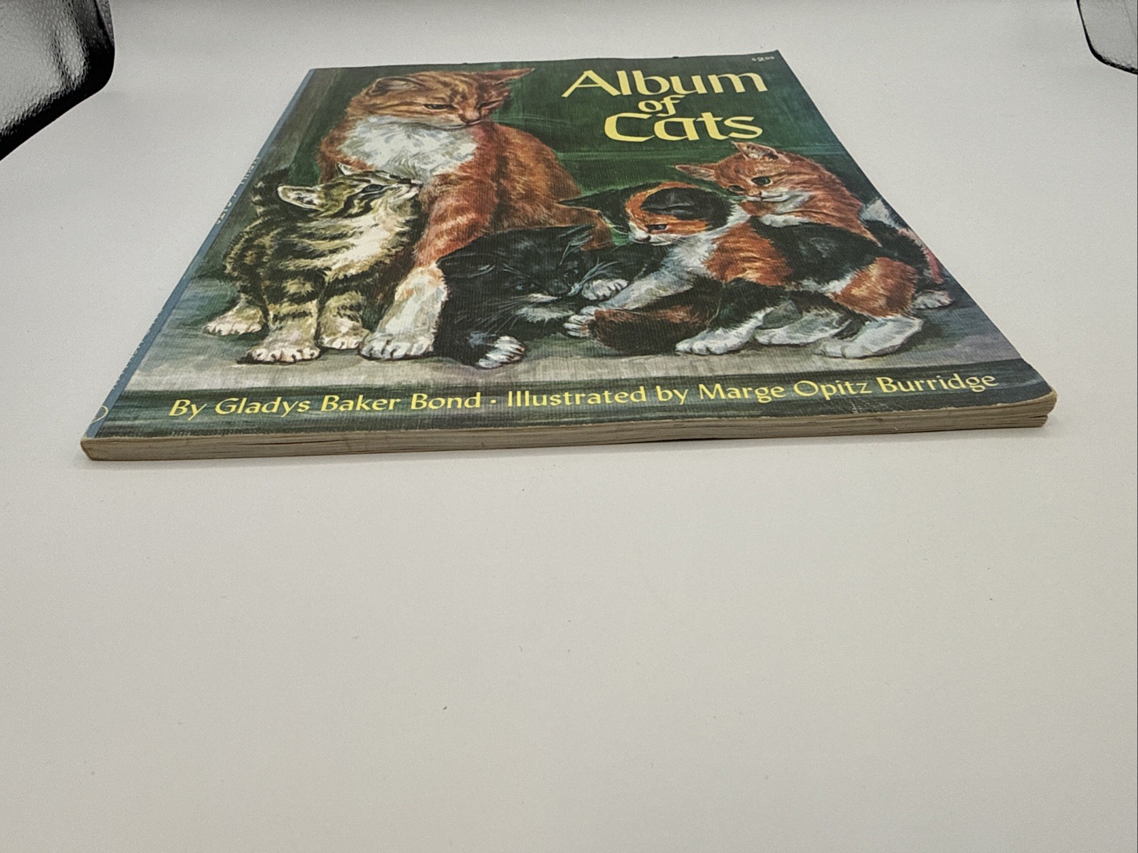 Vintage Album Of Cats Gladys Baker Bond Rand McNally HC Green USA Illustrated