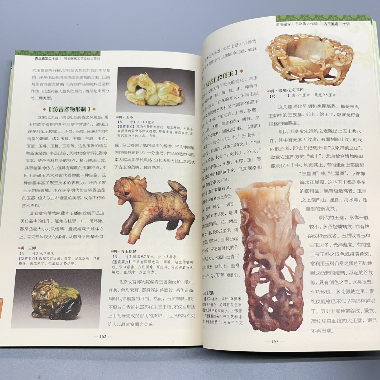 Ancient Jade Appraisal Twenty Lectures Appraising Treasures #6 Chinese 古玉鉴定二十讲