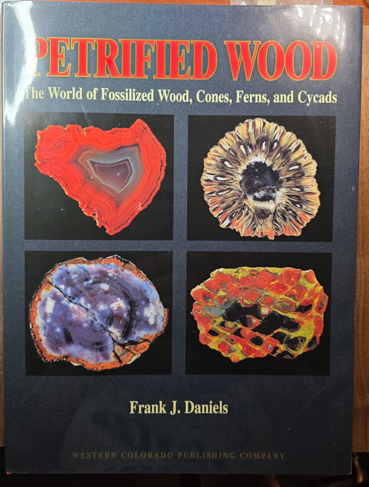 PETRIFIED WOOD The World of Fossilized Wood,Cones,Ferns,and Cycads#B-19