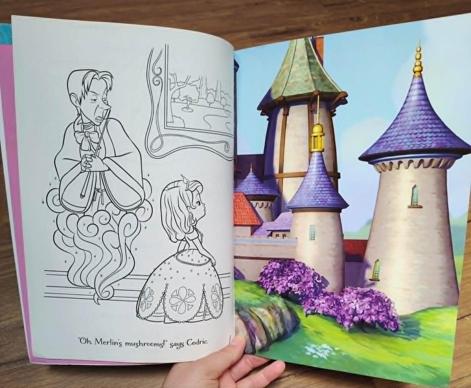 Sofia the First Coloring & Activity Sticker Scene 2013 A Lovable Princess