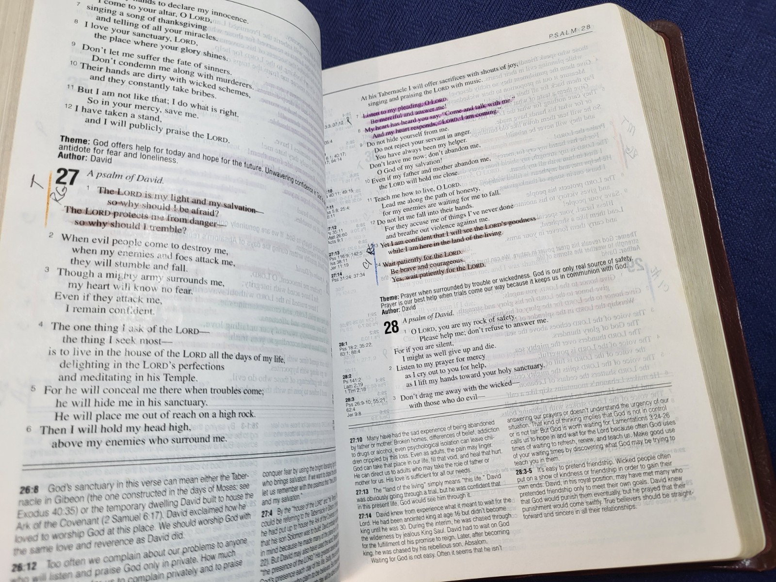 Holy Bible New Living Translation Tyndale Award NLT – Highlighted