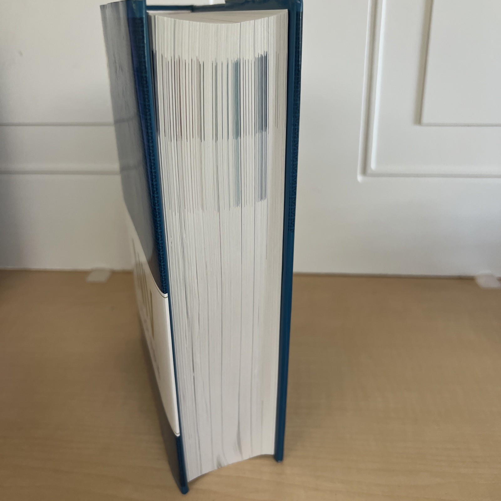 NIV New International Version Study Bible-HB/DJ-9780310438922~EXCELLENT