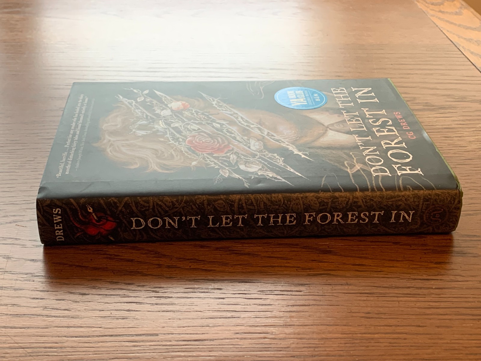 Don’t Let the Forest In by CG Drews Hardcover SPRAYED EDGES DELUXE B&N Barnes
