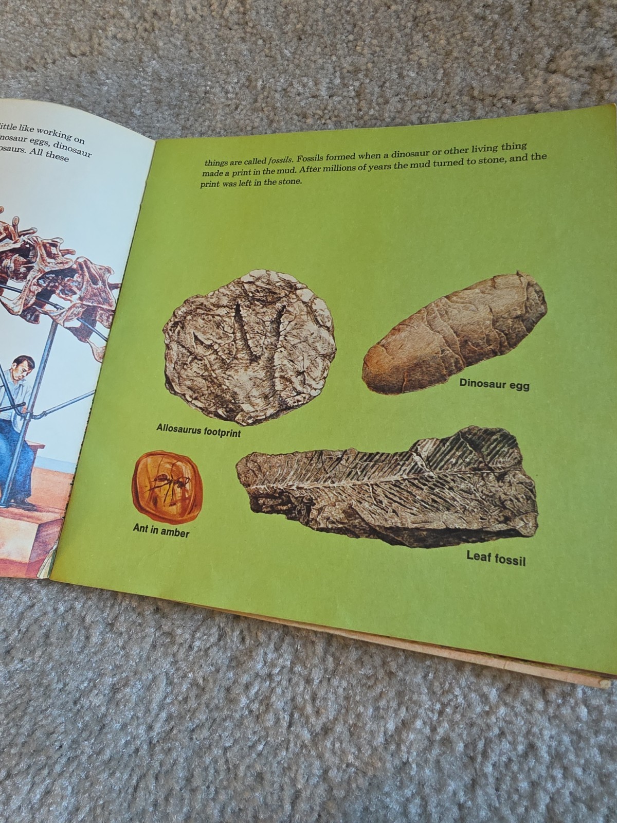 Random House Dinosaurs Book Kids Multi Vintage 1977 Peter Zallinger