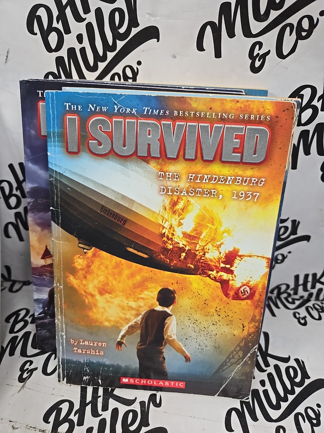 I SURVIVED Series Chapter Books by Lauren Tarshis Lot of 10