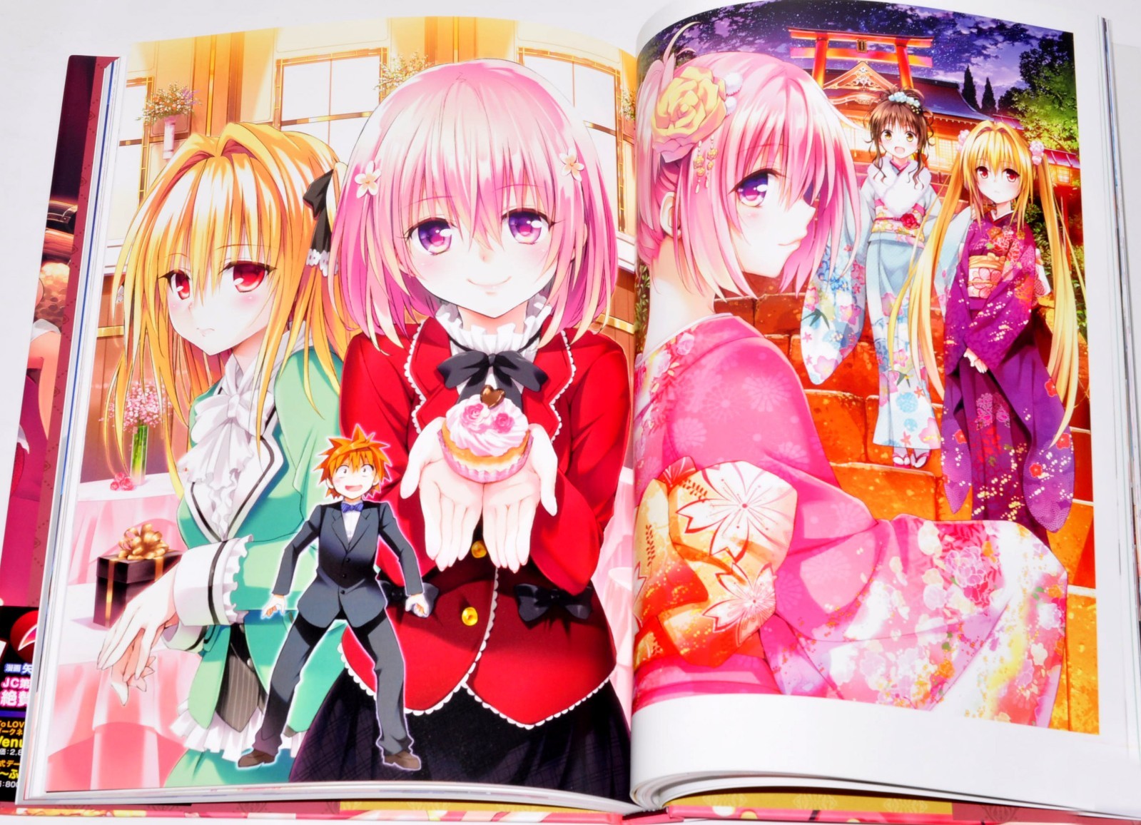 To Love-Ru Darkness Harem Gold Art Book Illustrations + Case 10th anniversary JP