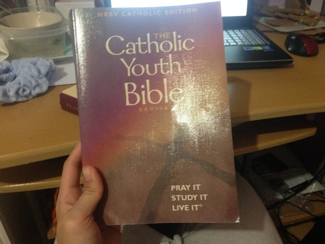 The Catholic Youth Bible® Revised, , Good Book