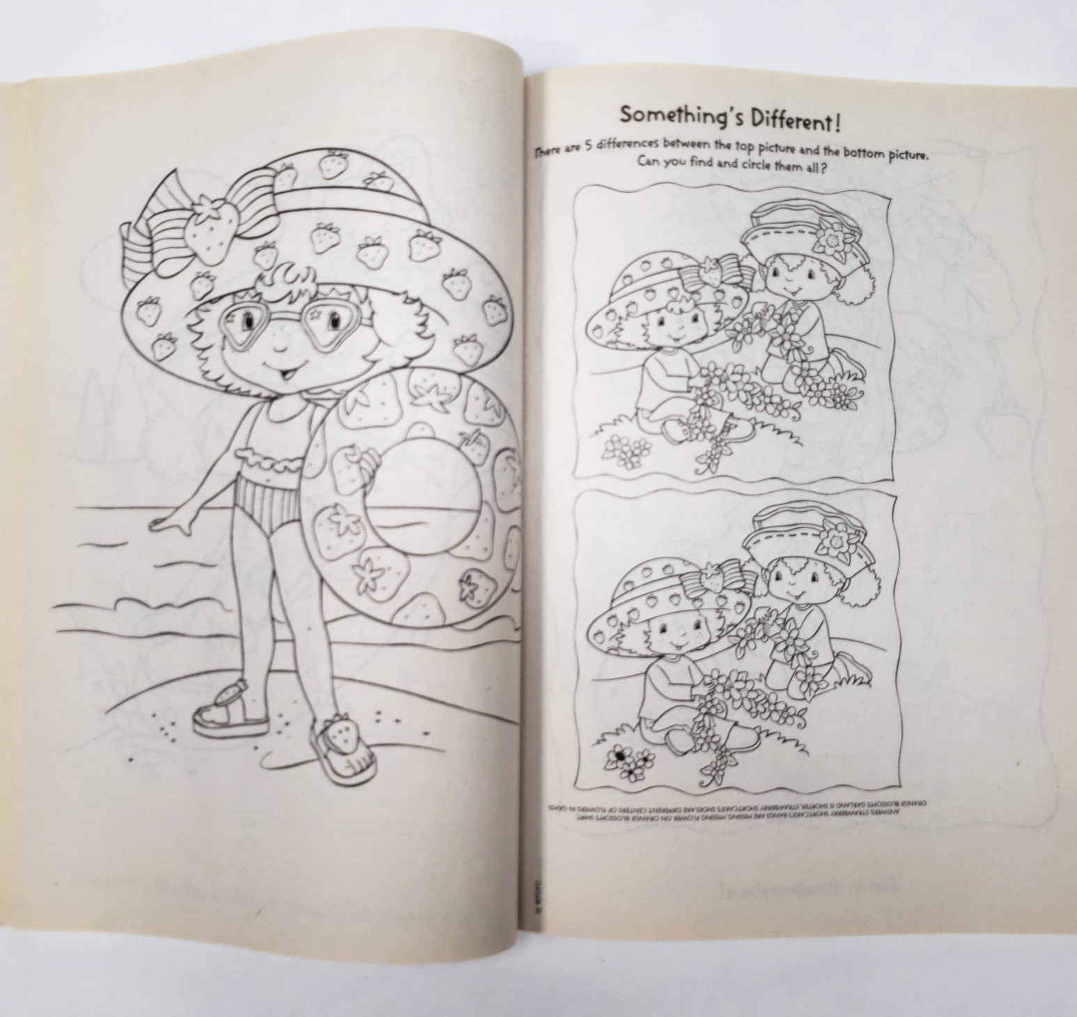 Strawberry Shortcake Coloring Book Dalmatian Press Vintage 2004 USED Berry Cool