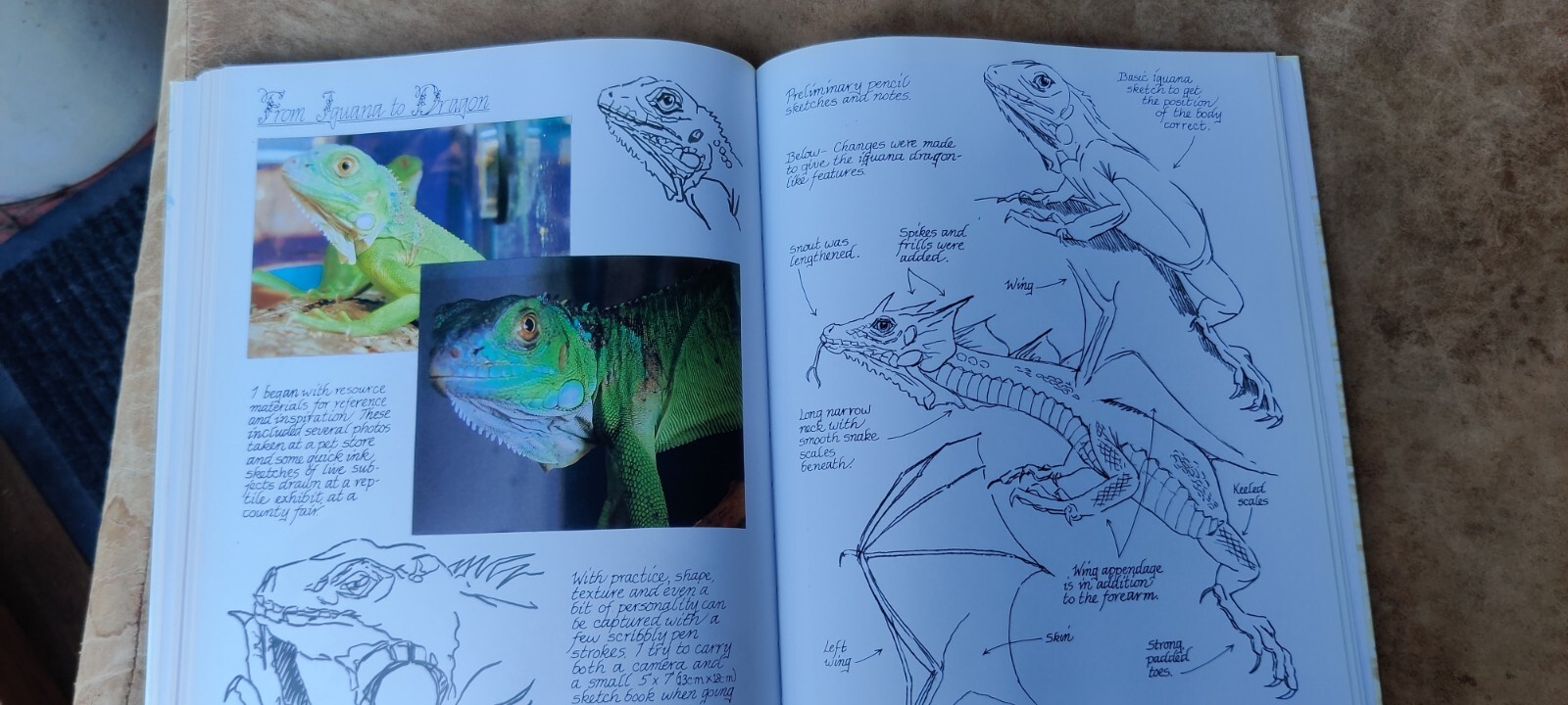 Creating Creatures of Fantasy and Imagination by Claudia Nice 2005 127 Pages Art