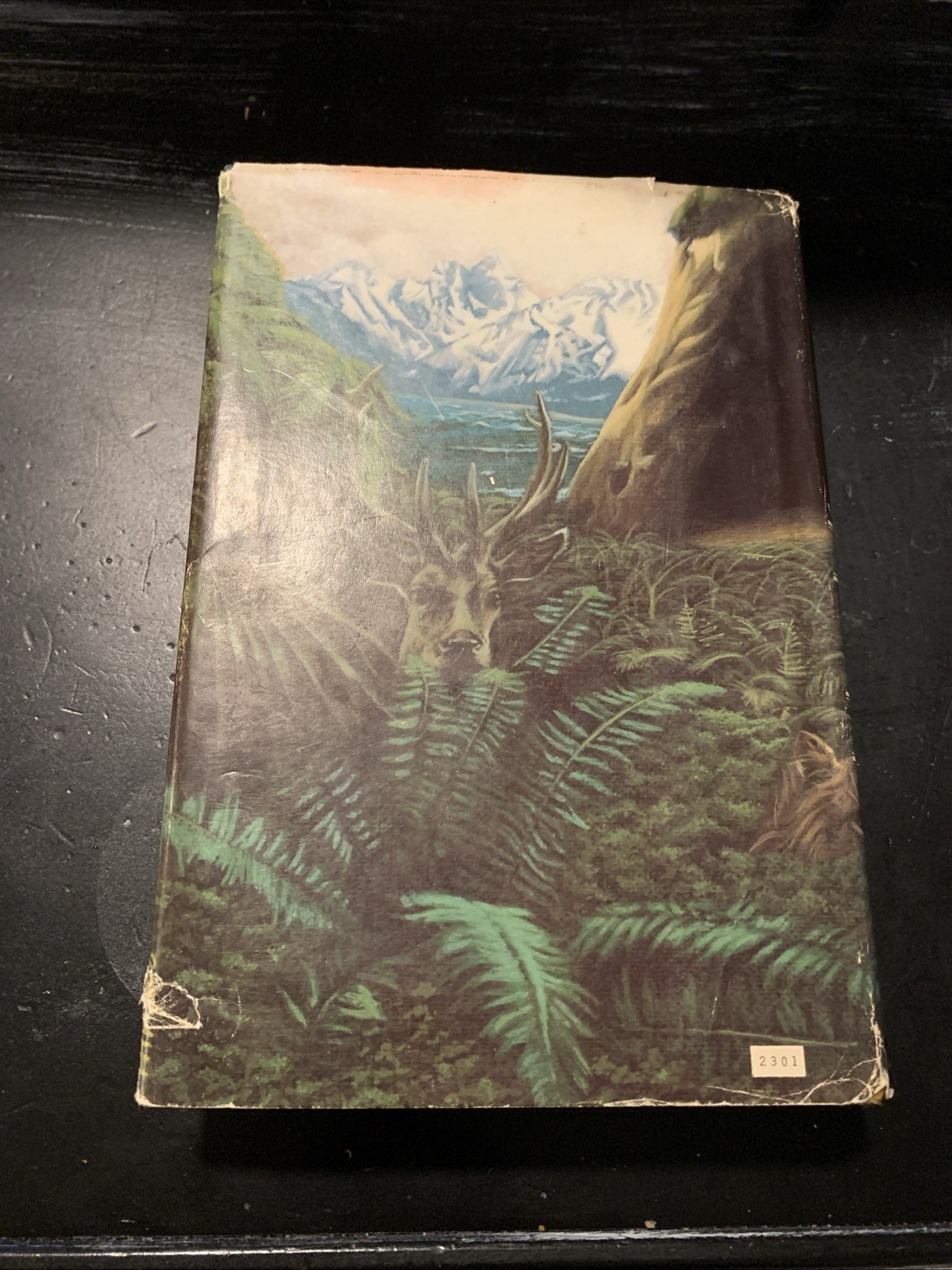The Clan of the Cave Bear by Jean M. Auel 1980 Hardcover Book Club Edition
