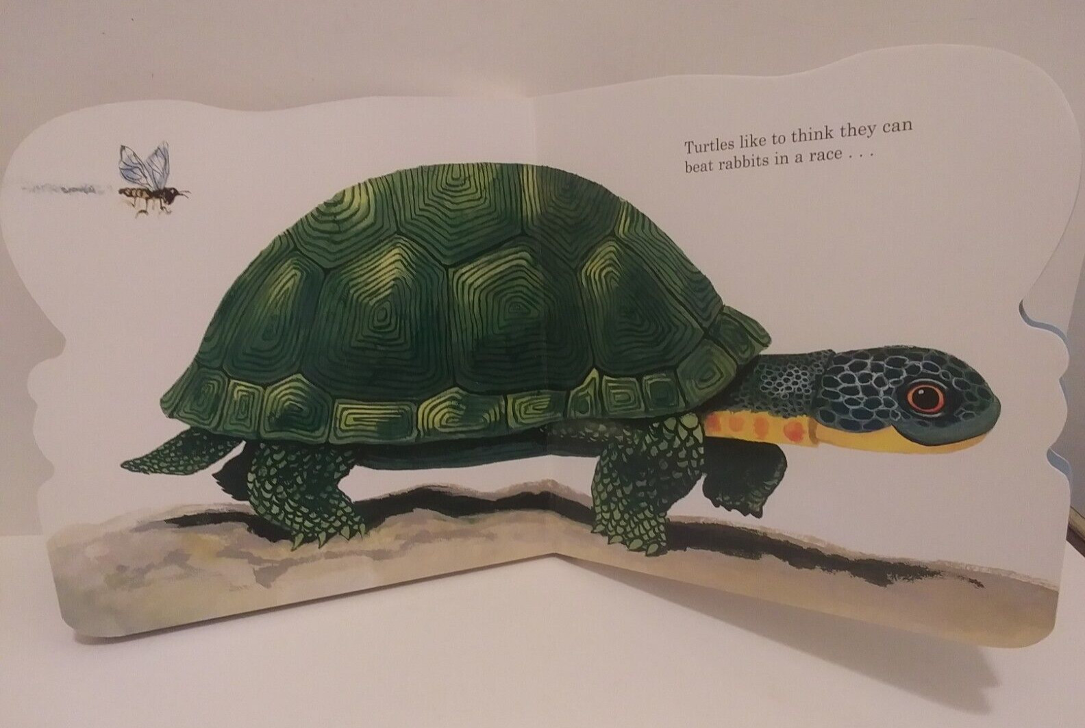 Richard Scarry’s Bunnies: A Board Book for Babies and Toddlers A Golden Book