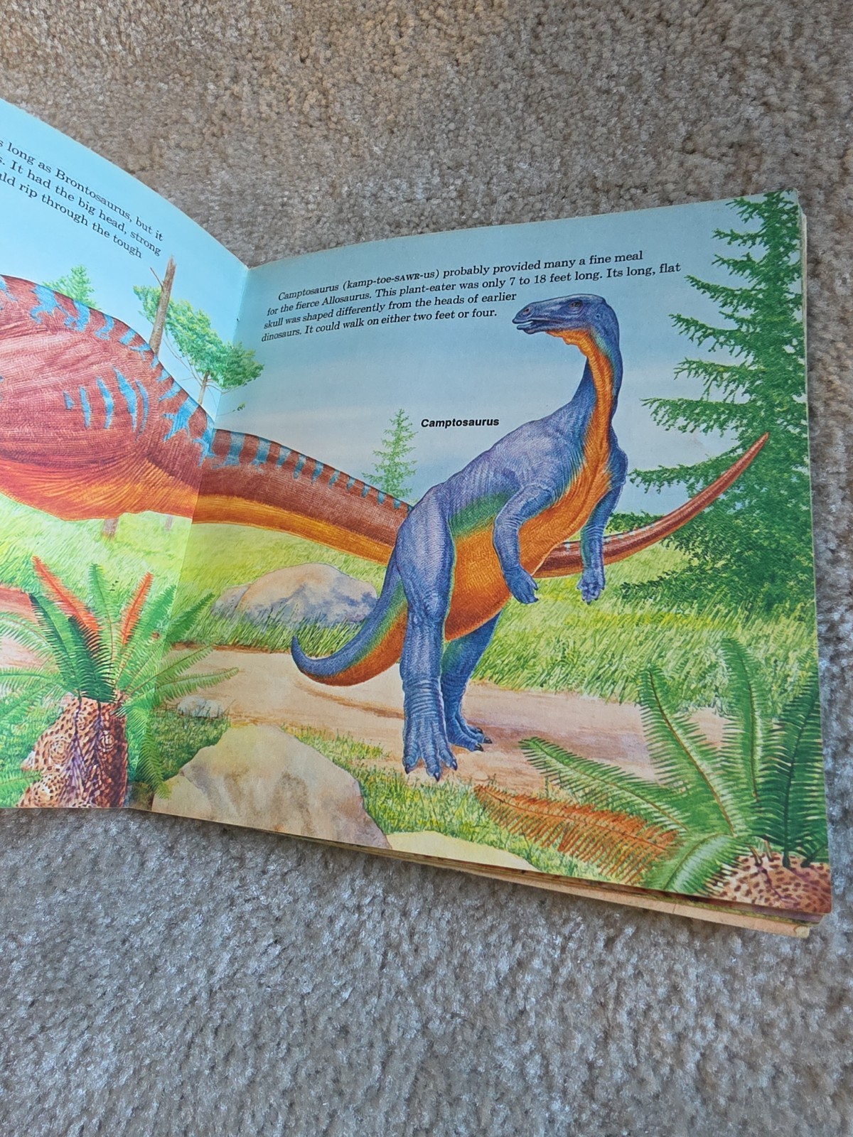 Random House Dinosaurs Book Kids Multi Vintage 1977 Peter Zallinger