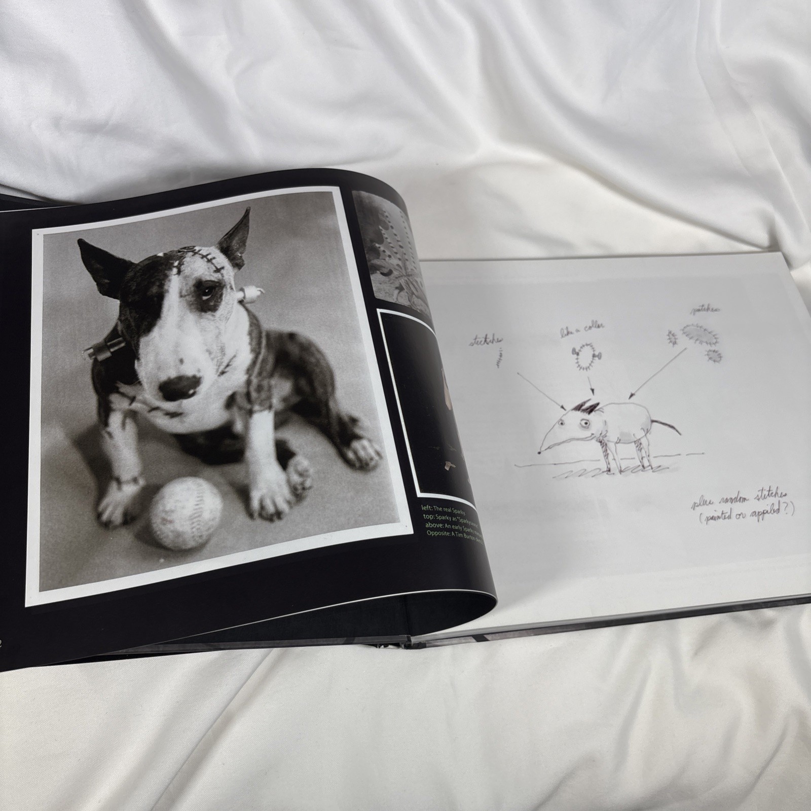 Frankenweenie The Visual Companion Tim Burton Disney Editions Hardcover Artbook