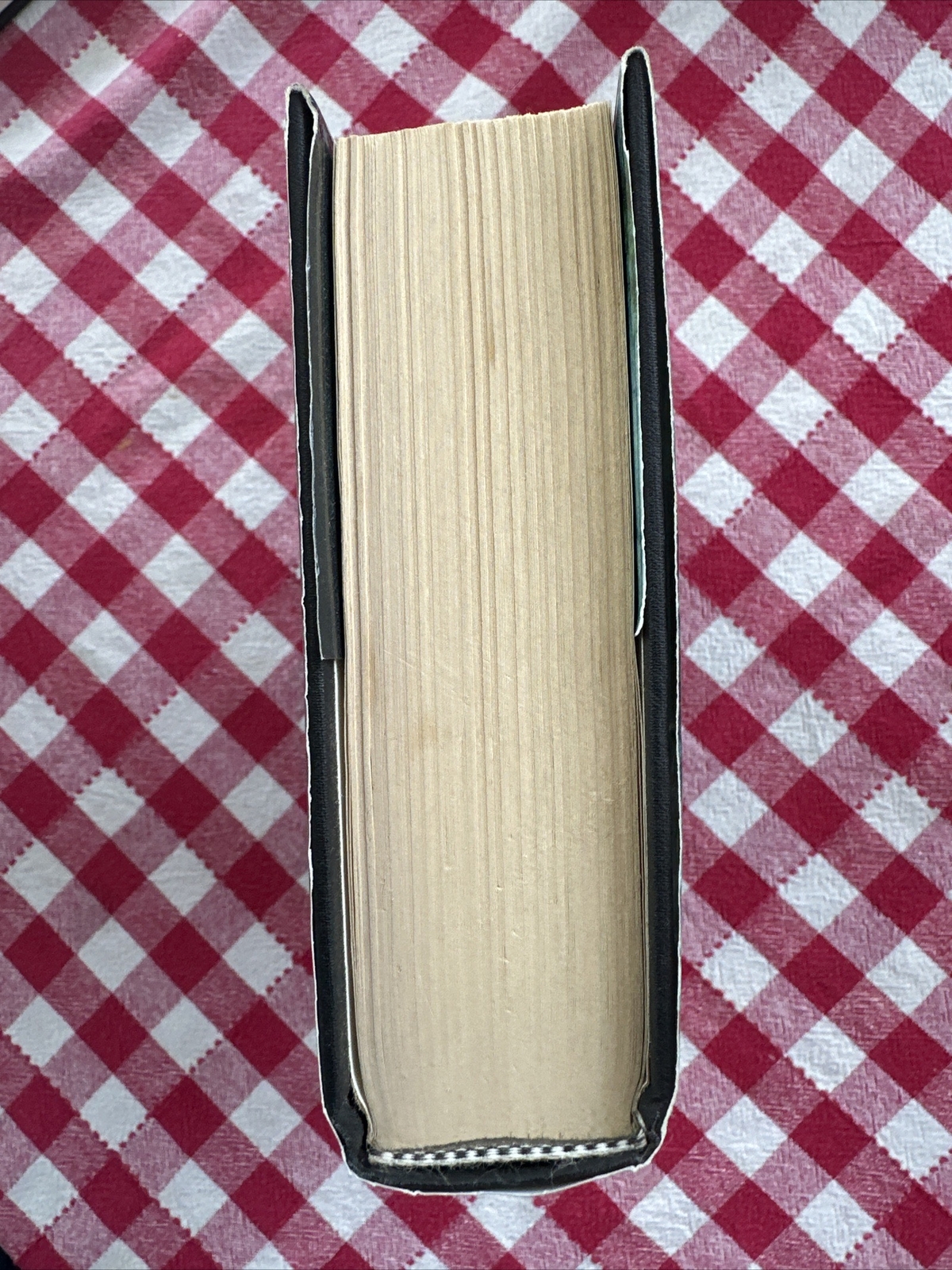 To Ride a Rathorn by Hodgell, P. C.