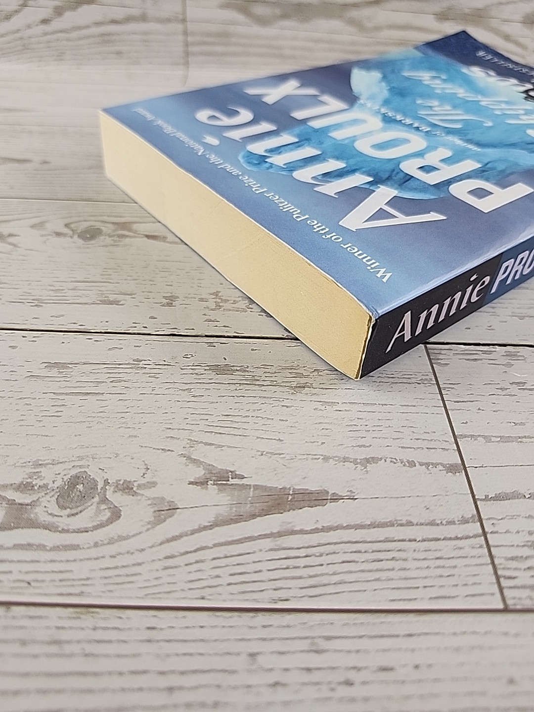 The Shipping News – Paperback By E. Annie Proulx – GOOD