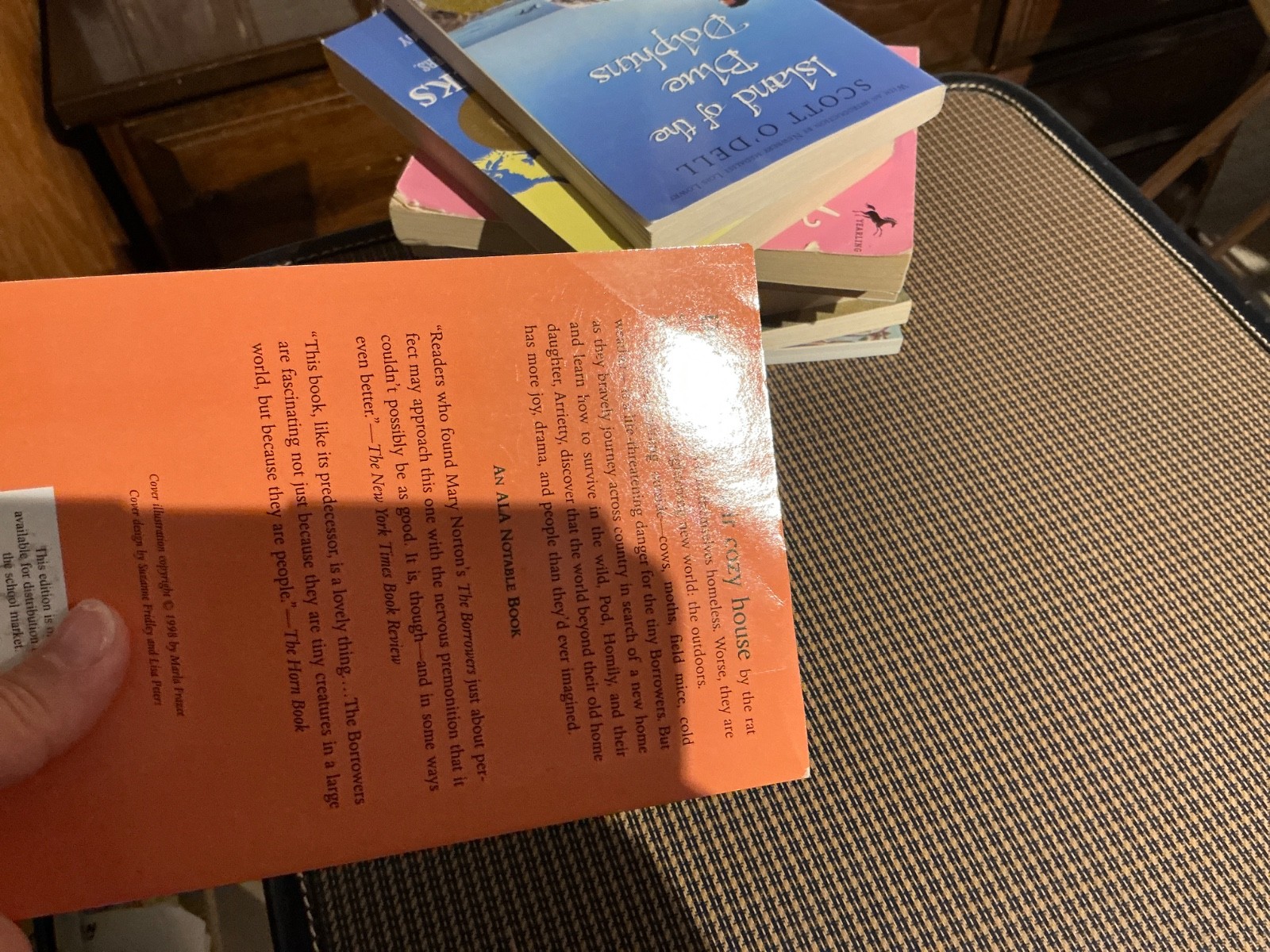 Suitcase LOT of Chapter Books GIRLS interest 12 Various Fiction Adventure—Good