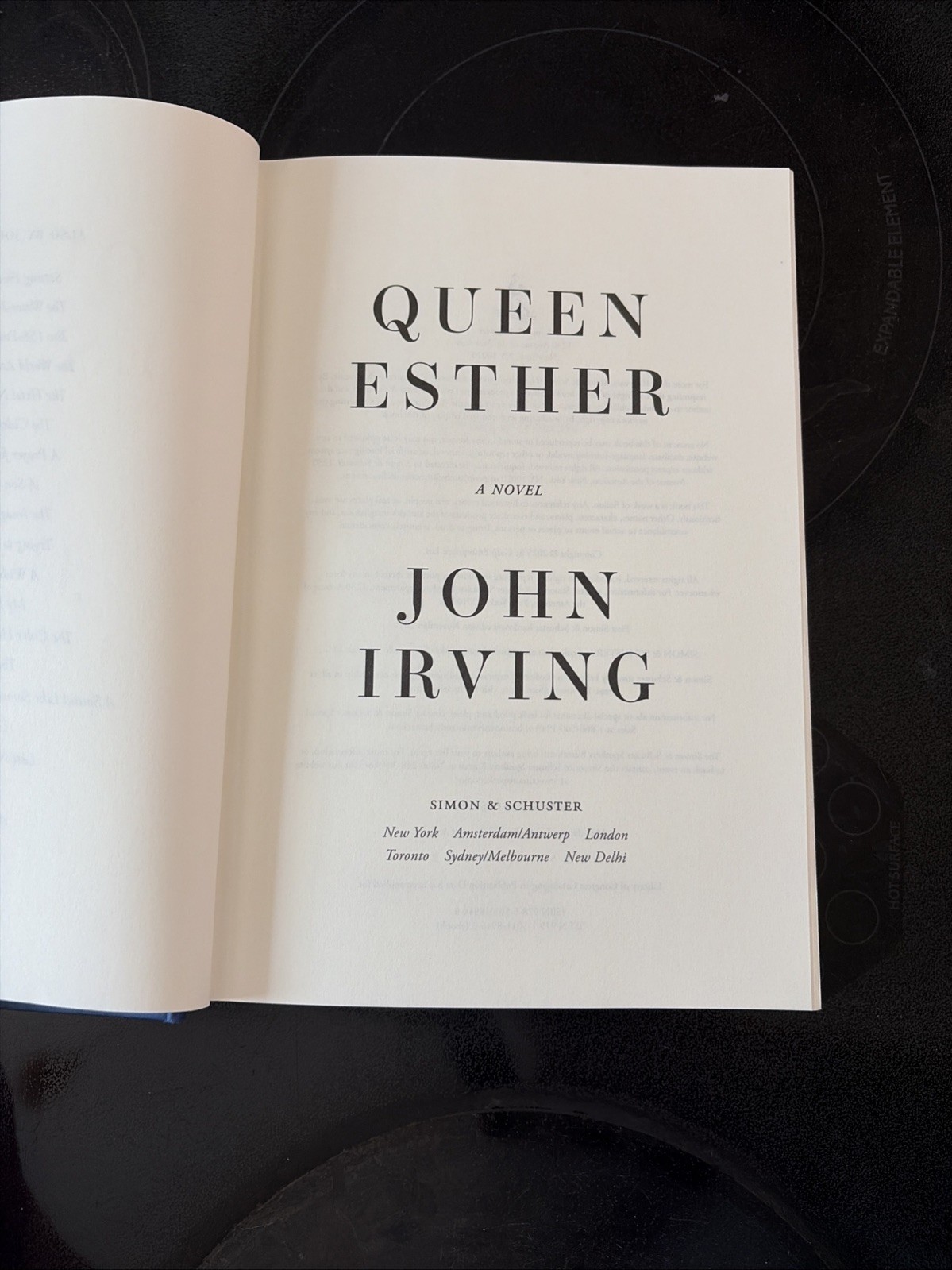 Queen Esther by John Irving (Hardcover, 2025) NEW First Edition 1st Print