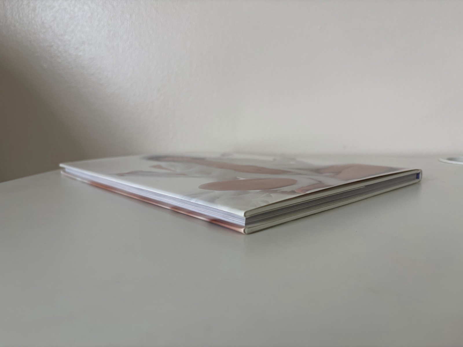 Japanese Shashinshu Ai Koromo Photo Book Ai Life by 根本好伸 2010