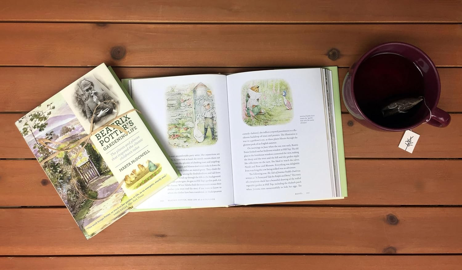 Beatrix Potter’s Gardening Life: The Plants and Places That Inspired the Classic