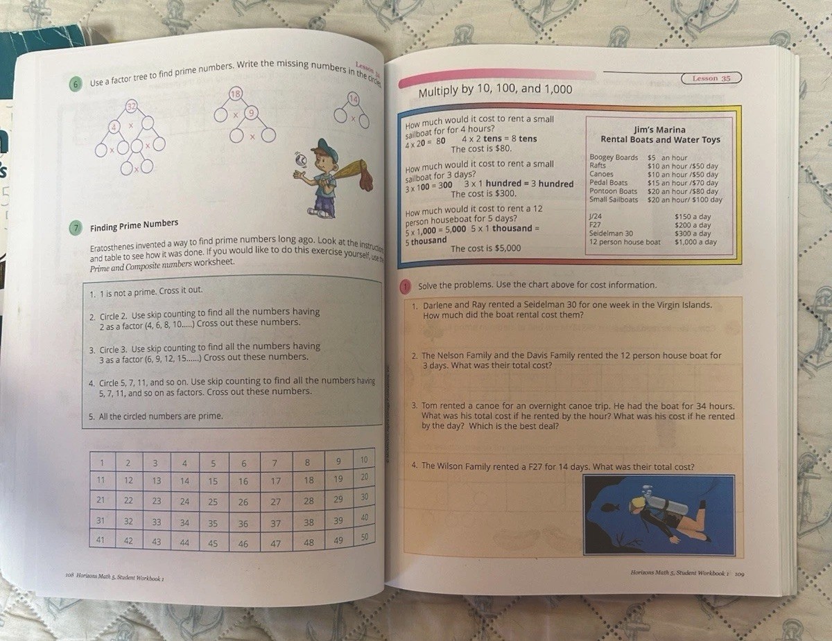 HORIZONS Math 5 Teacher’s Guide-Student Book 1 & 2-Homeschool-EUC-Set-5th Grade