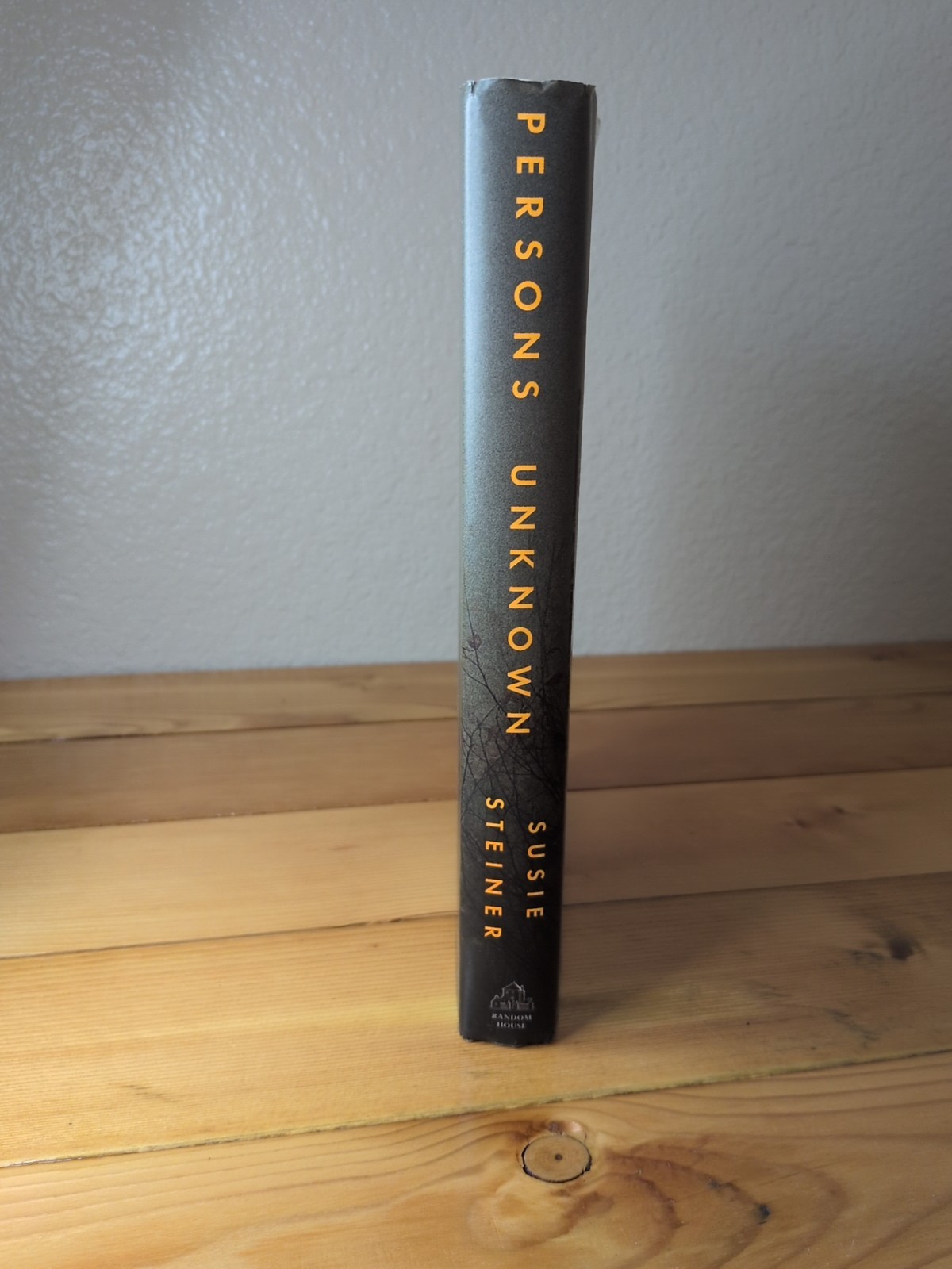 Persons Unknown by Susie Steiner (2017, Hardcover) First Edition First Printing