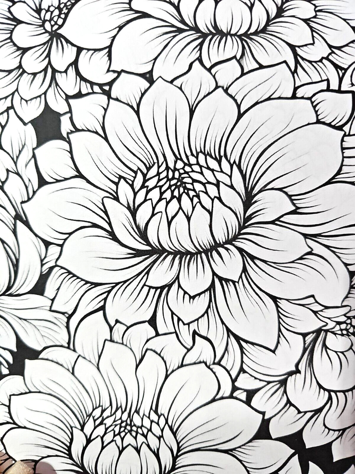 Coloring Book of Flowers 6.75″x10″ w/ 20 Pages of Single-Sided Images