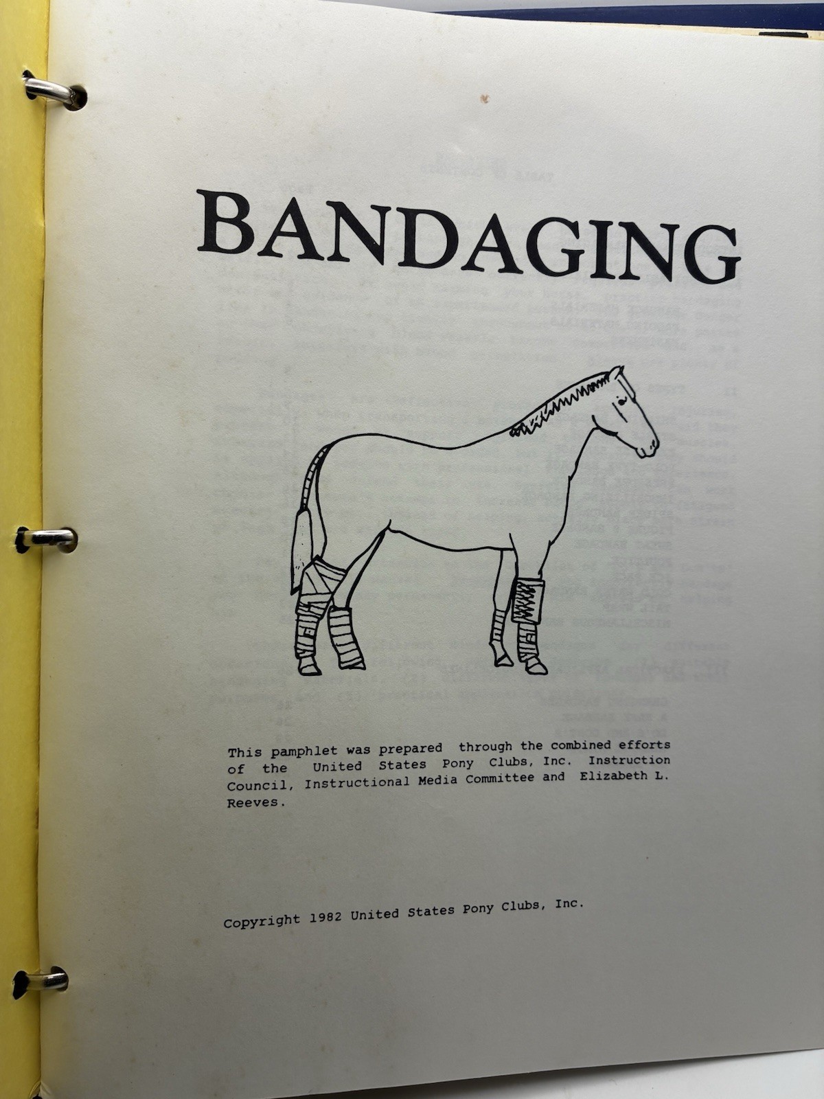 Vintage 6 United States Pony Clubs Horse Care Booklets Bandaging Longeing Condit