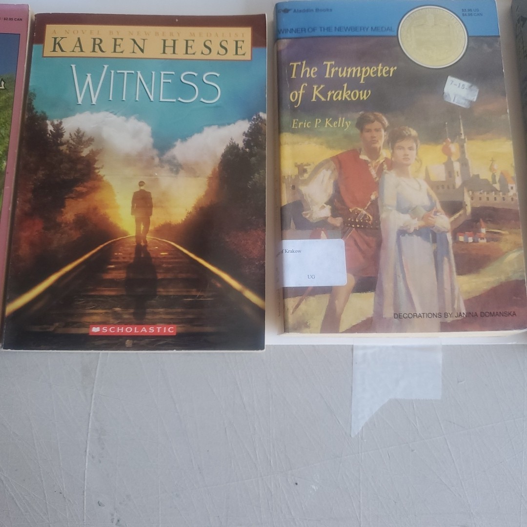 Lot of 14 Books 4 are GORDON KORMAN’s Children Books Series Reading level 6-7