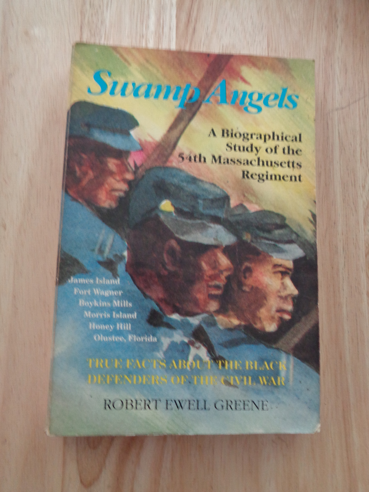 Swamp Angels: Biographical Study 54th Mass. Regiment by Robert E Greene 1990 SC