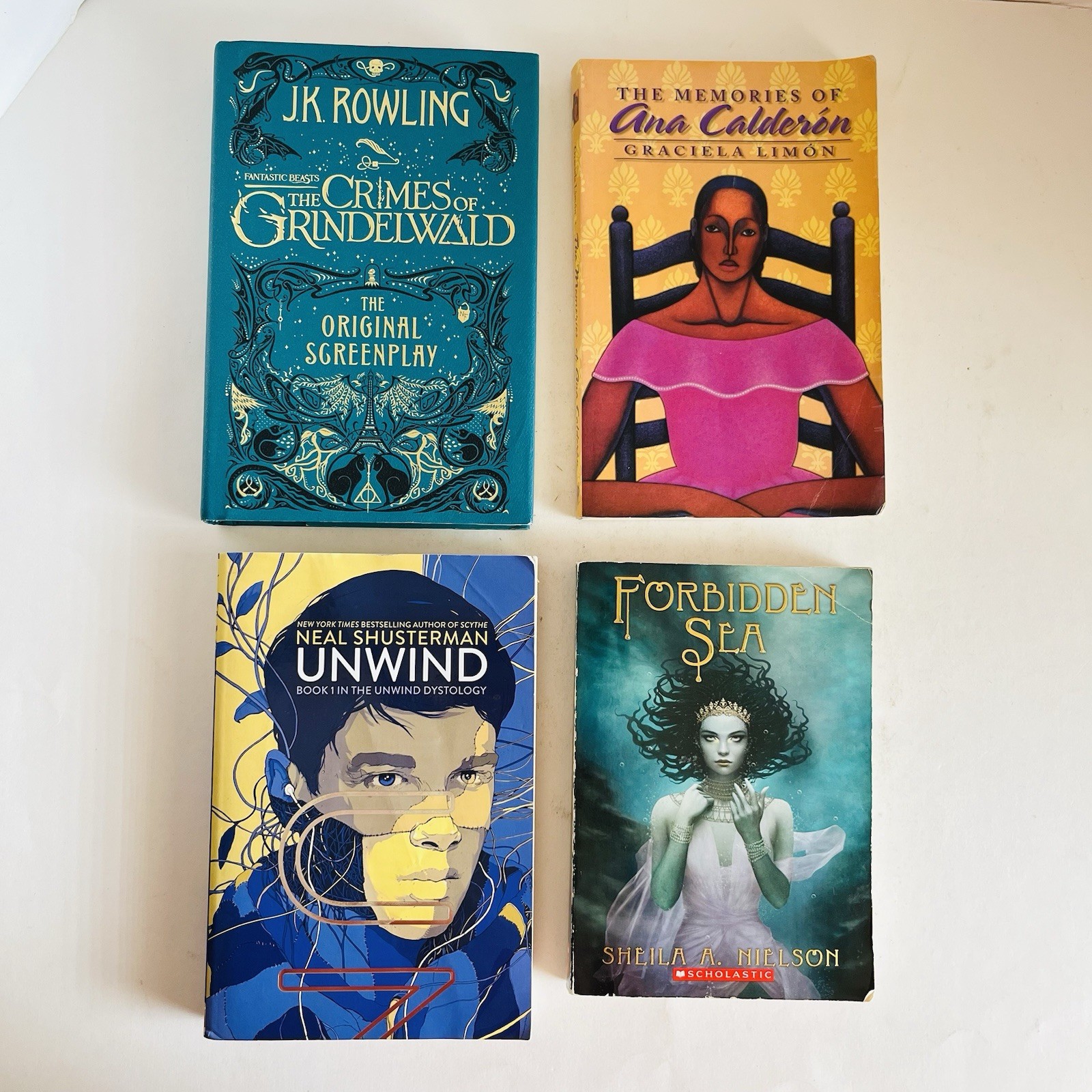 Lot 4 YA High School Books Novels Homeschool Dystopian Crimes Grindelwald Unwind