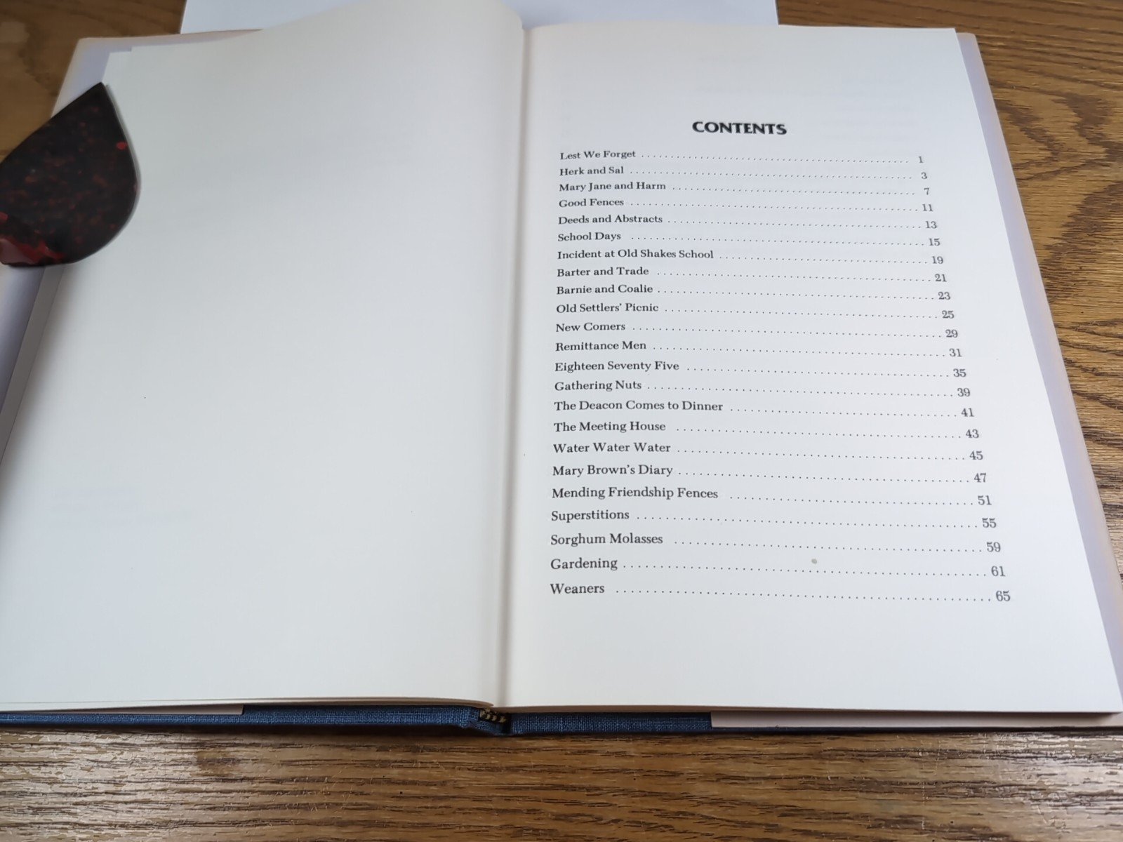 Ozark Diary By Minnie J. Sellens 1984, Privately Printed. Unique Book