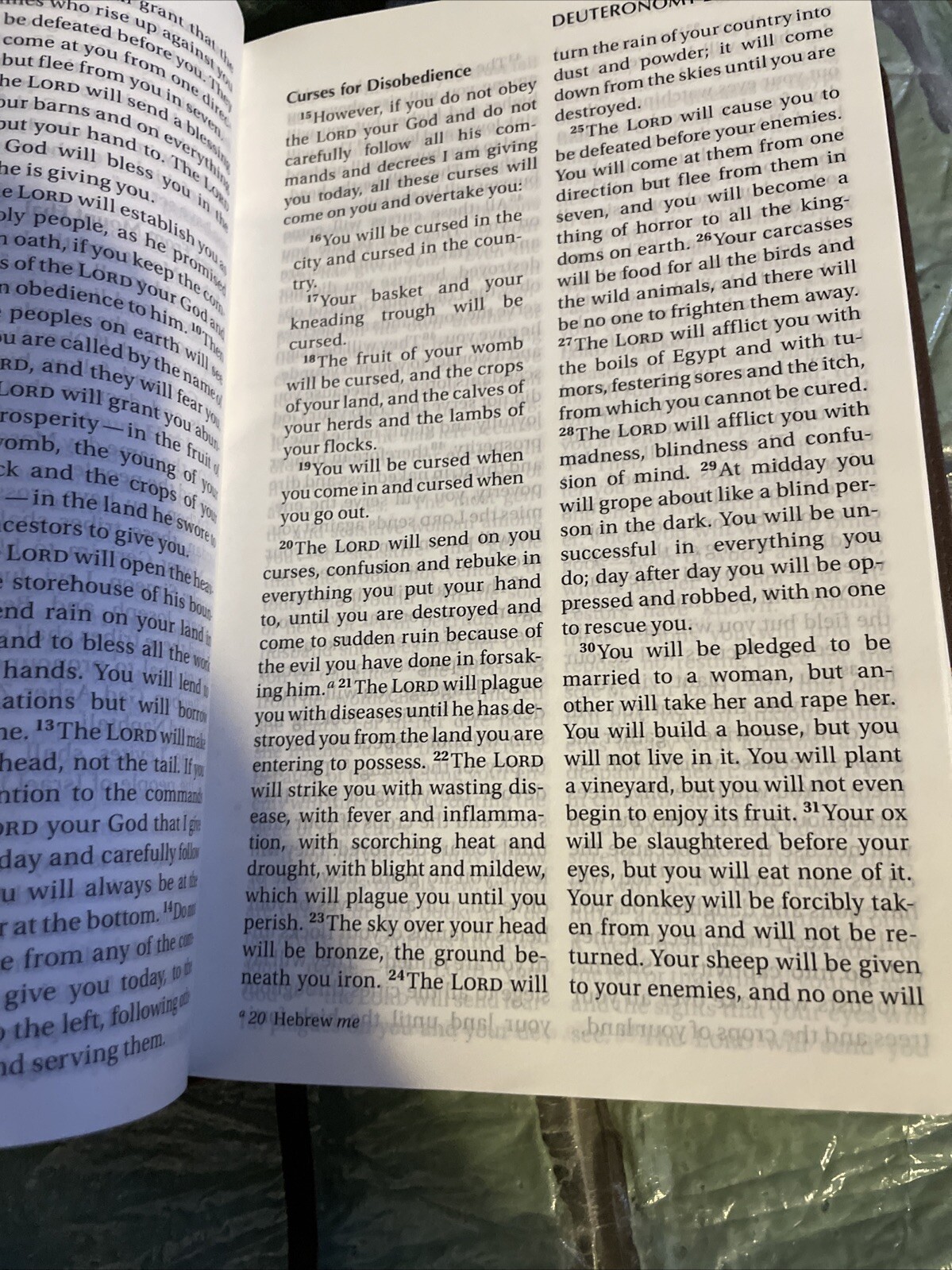 NIV Bible Large Print DuoTone Leather Soft