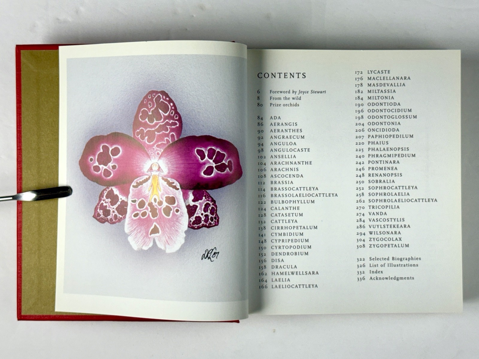 Lot of 3 Orchid Books Mark Griffiths (2005 HC) + Orquideas +Albert Hollingsworth