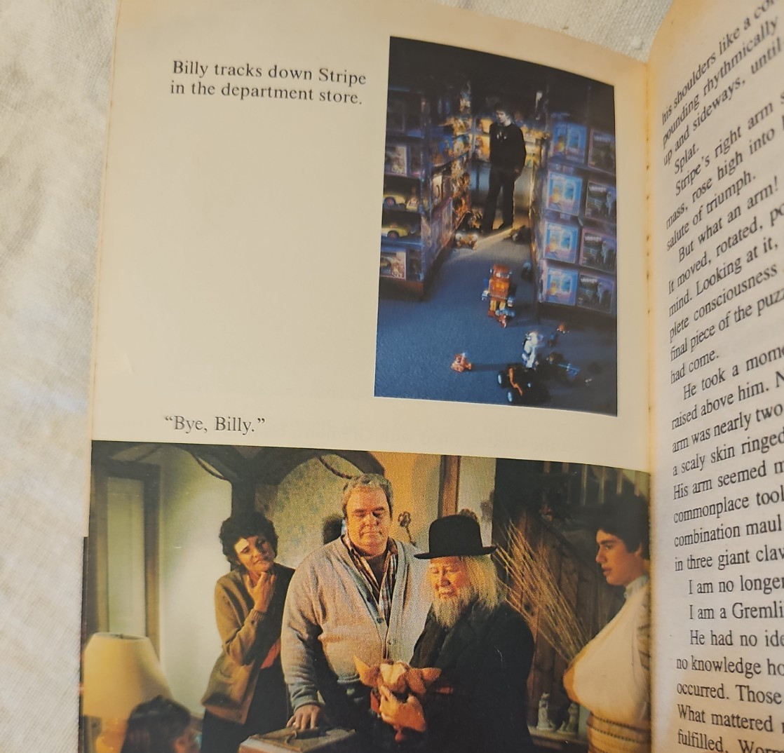 Vintage Gremlins Book by George Gipe Steven Spielberg Avon Illustrated Photos