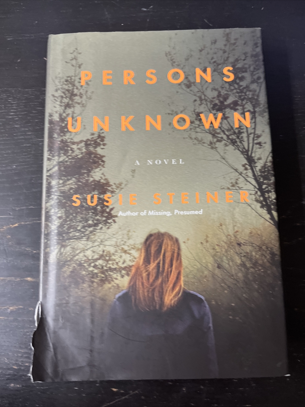 Manon Bradshaw Ser.: Persons Unknown : A Novel by Susie Steiner (2017,…
