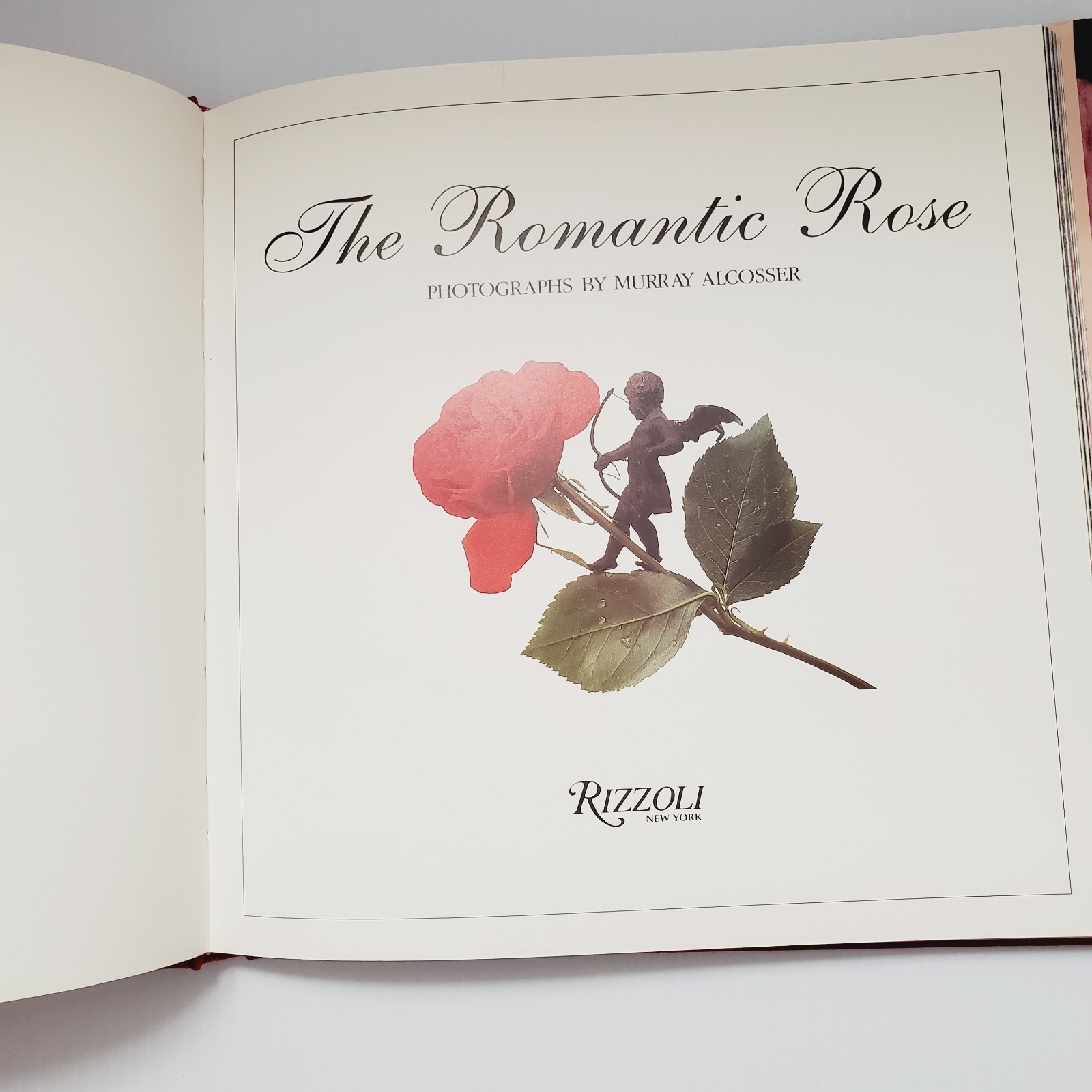 The Romantic Rose Hardcover Book Gift Flowers Gardening Plants