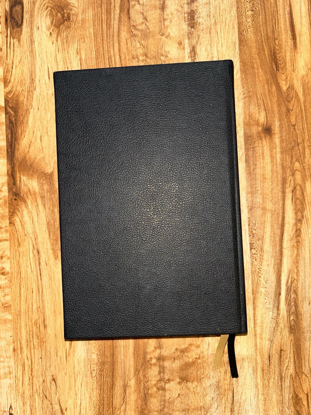 Legacy Standard Bible Holy Bible Handy Size Edition Steadfast 2021