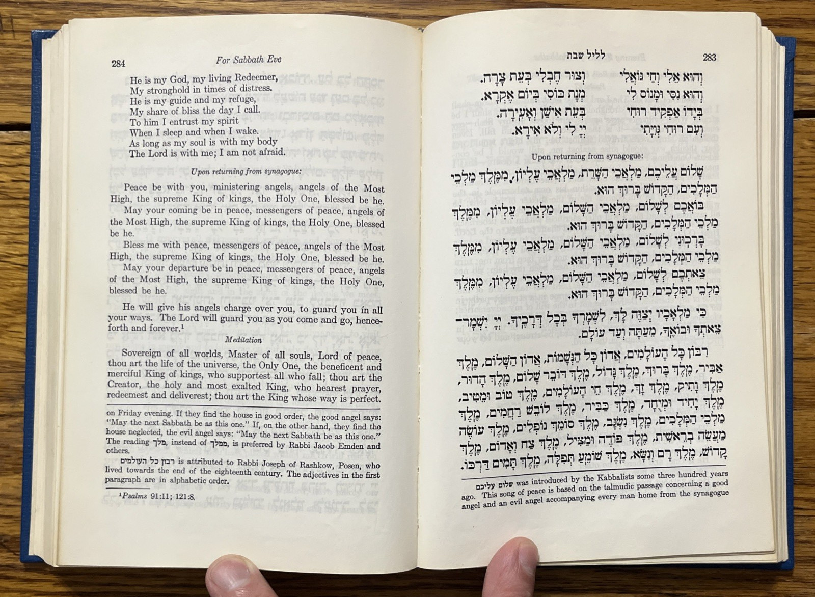 Daily Prayer Book (Ha-Siddur Ha Shalem) Philip Birnbaum, Hebrew Publishing 1989