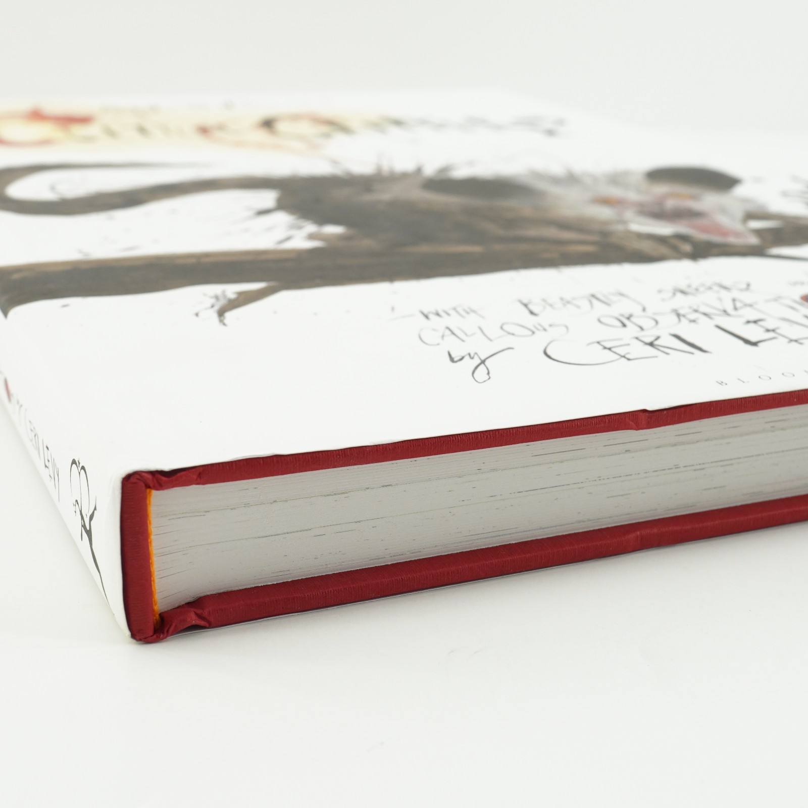 SIGNED Ralph Steadman’s Critical Critters by Ceri Levy Hardcover Autographed