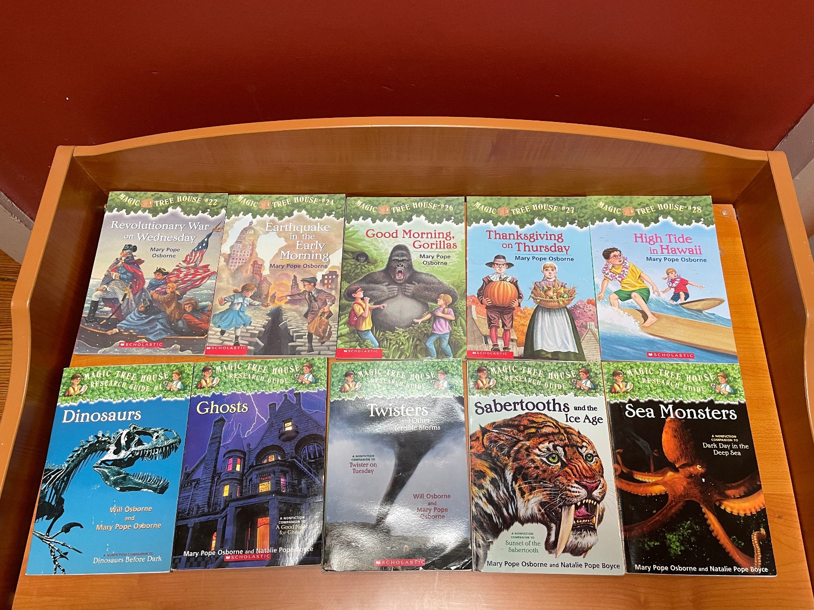 Magic Tree House Mixed Series Chapter Books Lot of 34 PLEASE READ DESCRIPTION