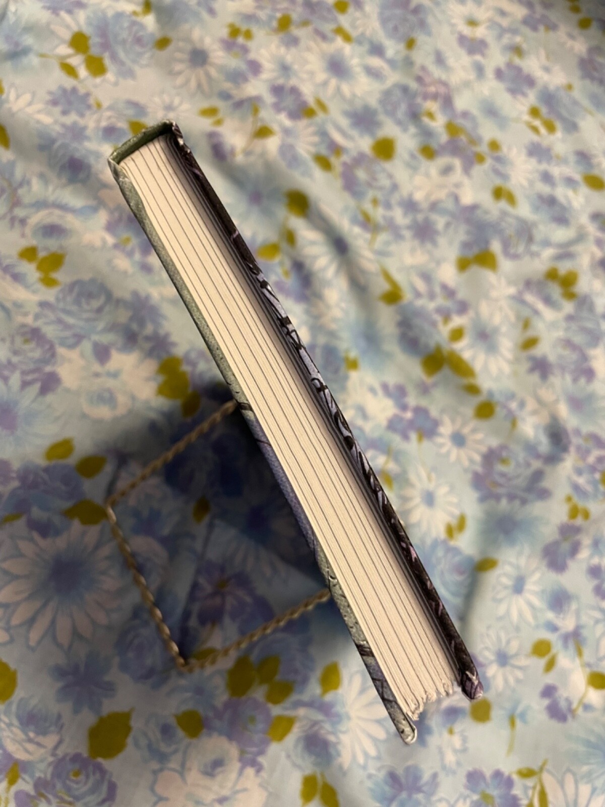 BOOK Friends is Friends Greg Cook First Edition 2016 Graphic Novel Roaring Brook