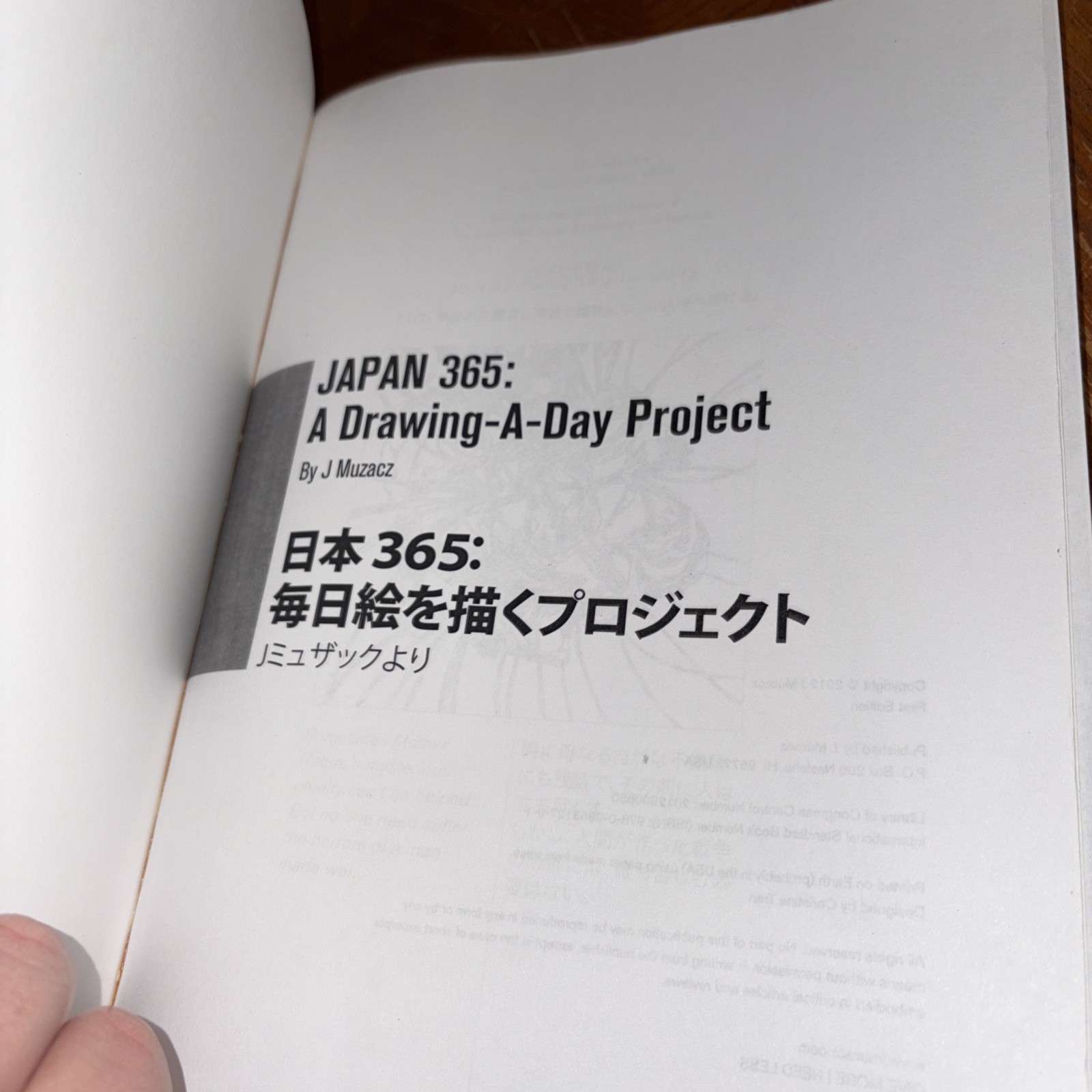Japan 365 : A Drawing-A-Day Project by Mayze (2012, Trade Paperback)