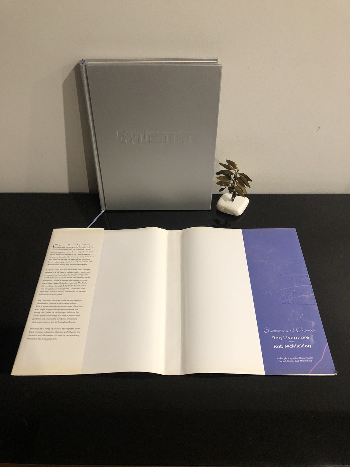 Reg Livermore Chapters And Chances H G B 2003 First Ed/F.Print HC DJ LN 🇦🇺🎭