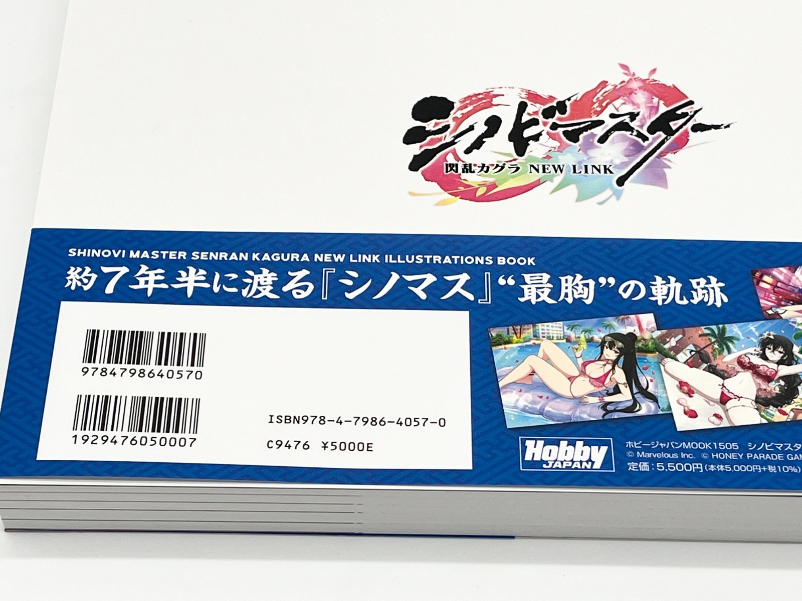 Shinobi Master Senran Kagura New Link Illustrations Book Vol 1-2 Japanese Text