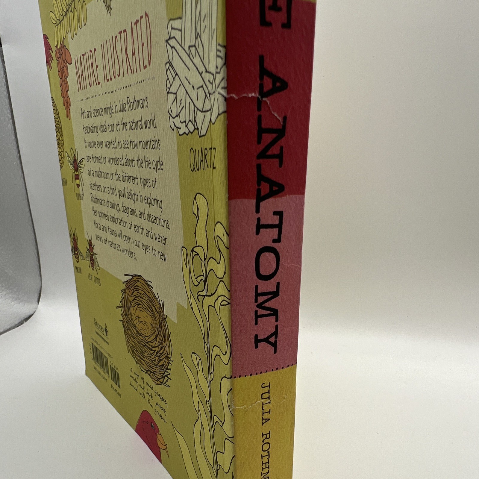 Julia Rothman Anatomy Set: Farm Nature Food Ocean Paperback Homeschool Homestead